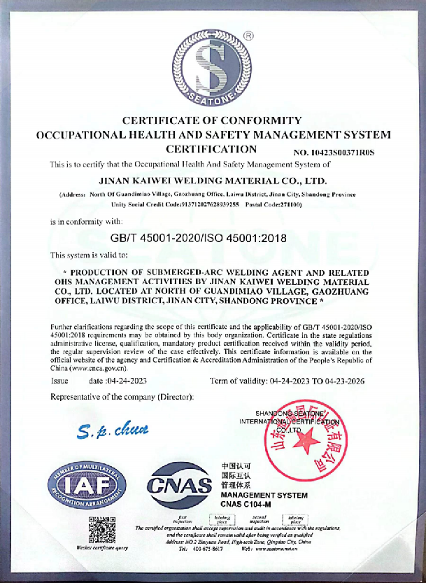 Occupational Health and Safety Management System Certification 2